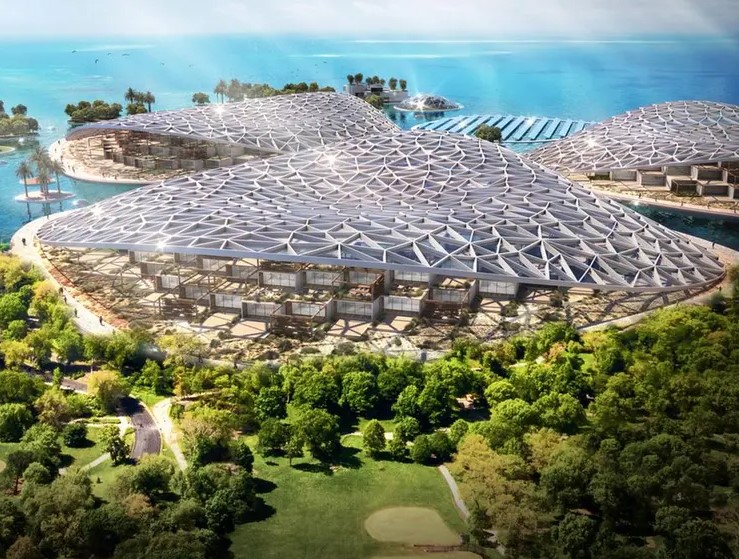Dubai Announce: World Largest Ocean Restoration Project